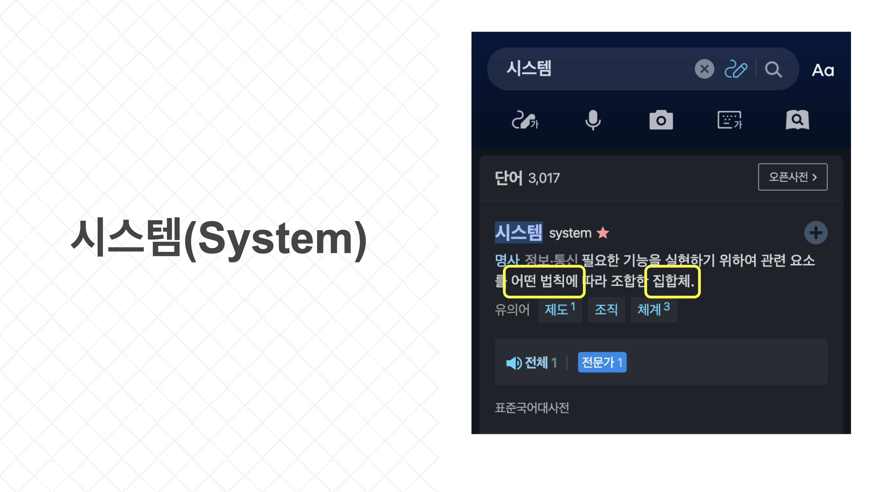 시스템
